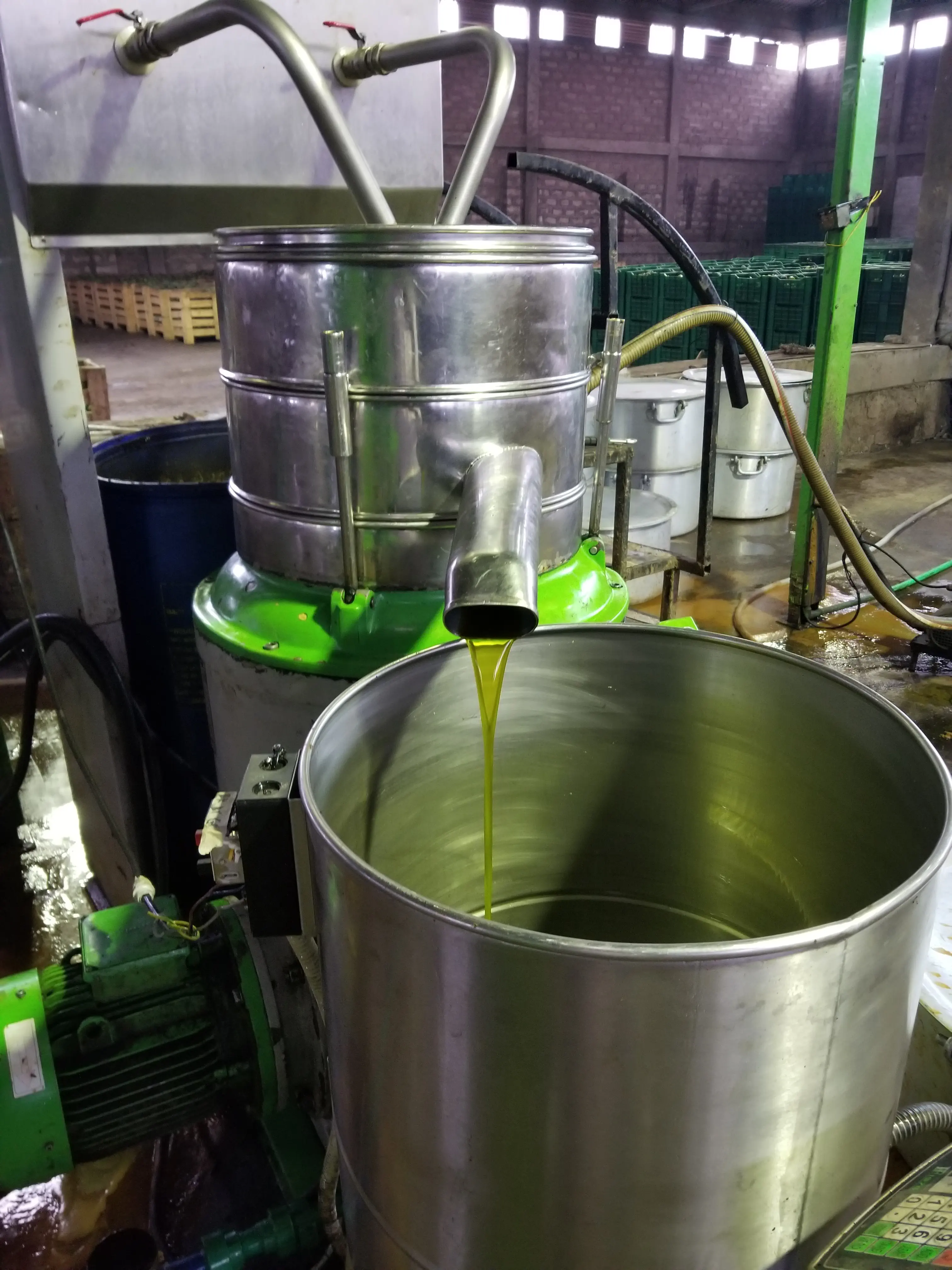 Oil Extraction